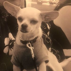 Meet your Posher, Humberto